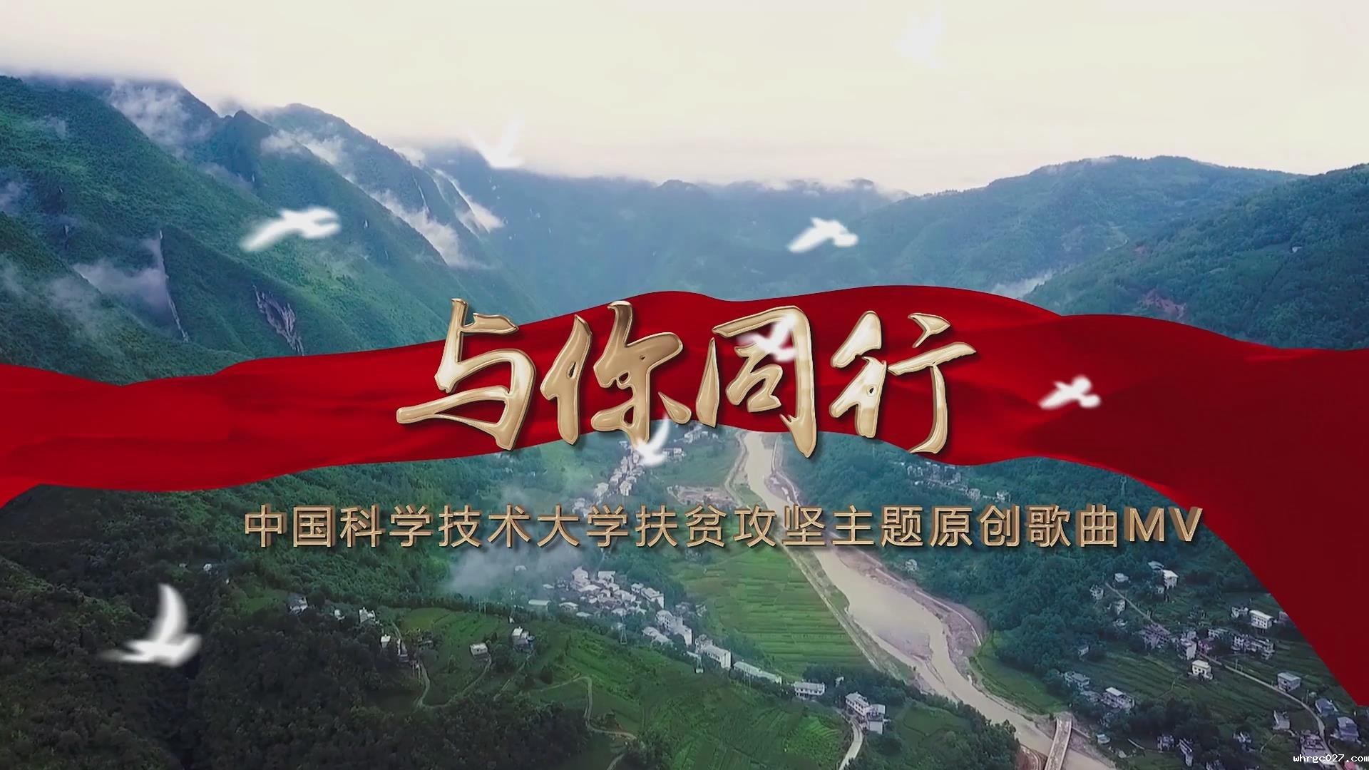 与你同行