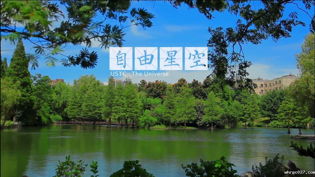 自由星空